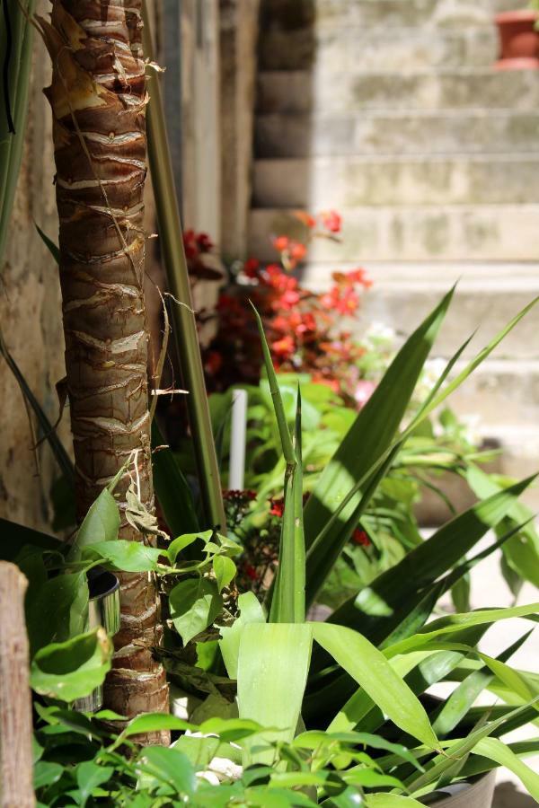 Street Garden Apartment Hvar Town Exterior photo